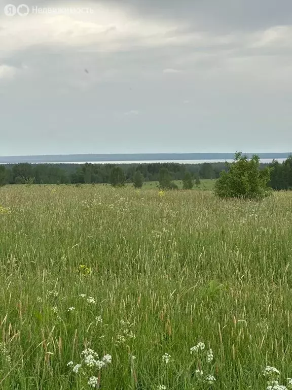 Участок в Ярославская область, Переславль-Залесский муниципальный ... - Фото 1