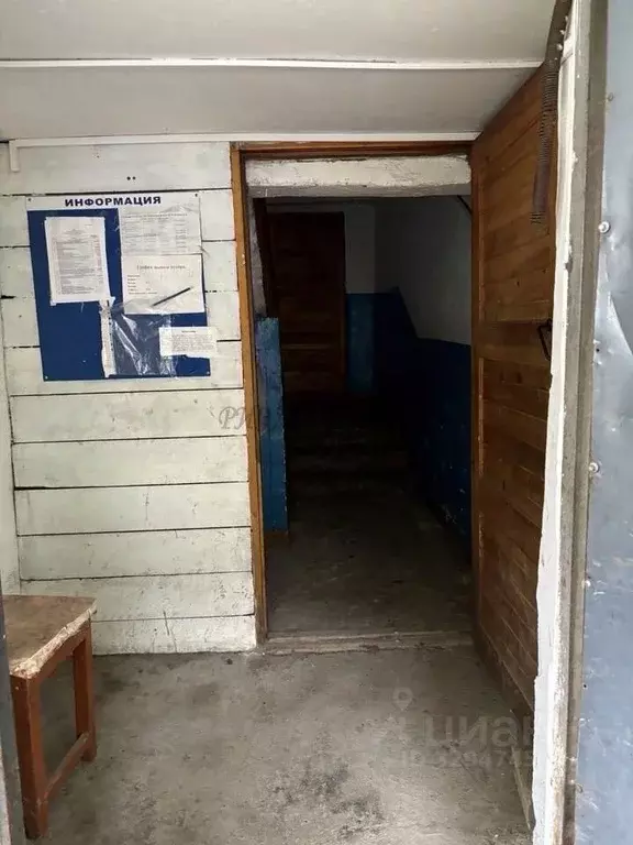 Студия Алтай, Майминский район, с. Майма ул. Строителей, 5 (28.0 м) - Фото 2