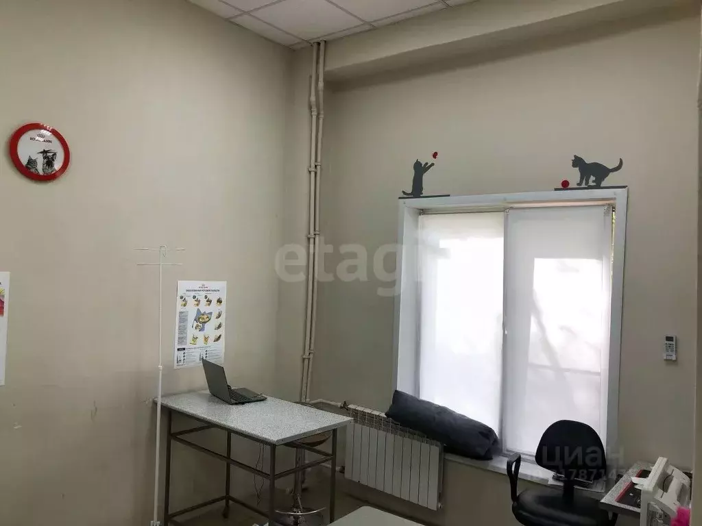 Помещение свободного назначения в Татарстан, Казань ул. Челюскина, 6/9 ... - Фото 1