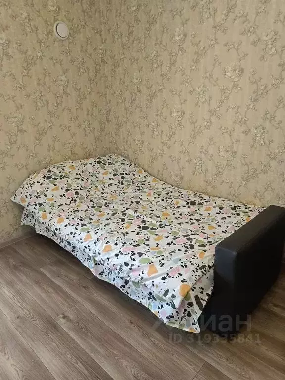 Студия Псковская область, Псков ул. Юности, 24 (24.0 м) - Фото 0