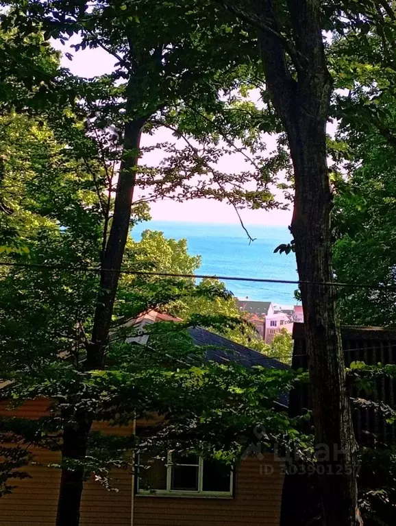 Дом в Краснодарский край, Туапсинский муниципальный округ, с. ... - Фото 2