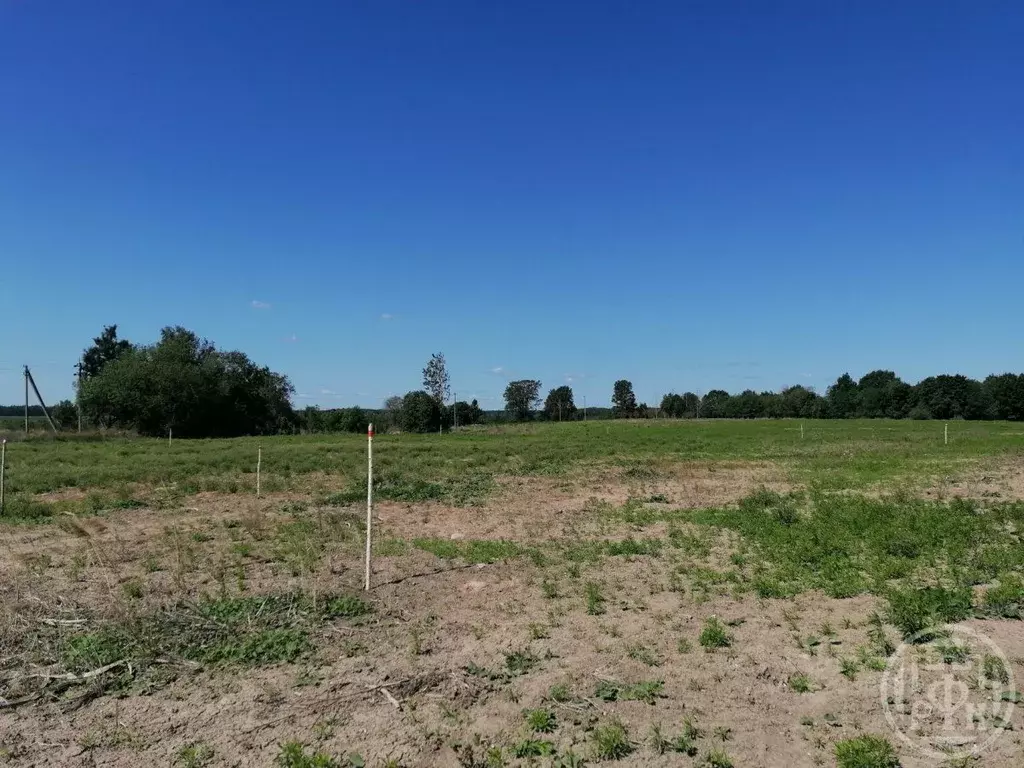 Участок в Ленинградская область, Лужский район, Заклинское с/пос, д. ... - Фото 2
