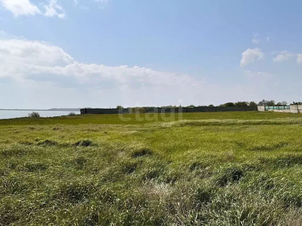 Участок в Ростовская область, Неклиновский район, Лакедемоновское ... - Фото 1