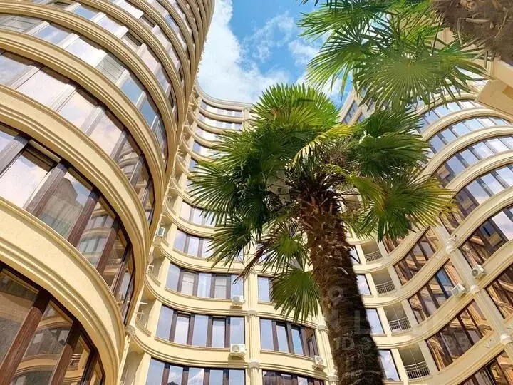 3-к кв. Краснодарский край, Сочи Светлана мкр, ул. Лысая Гора, 23/1 ... - Фото 1