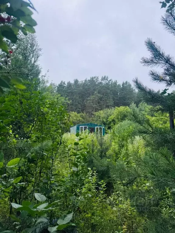 Дом в Свердловская область, Екатеринбург ул. Изоплитная (49 м) - Фото 2