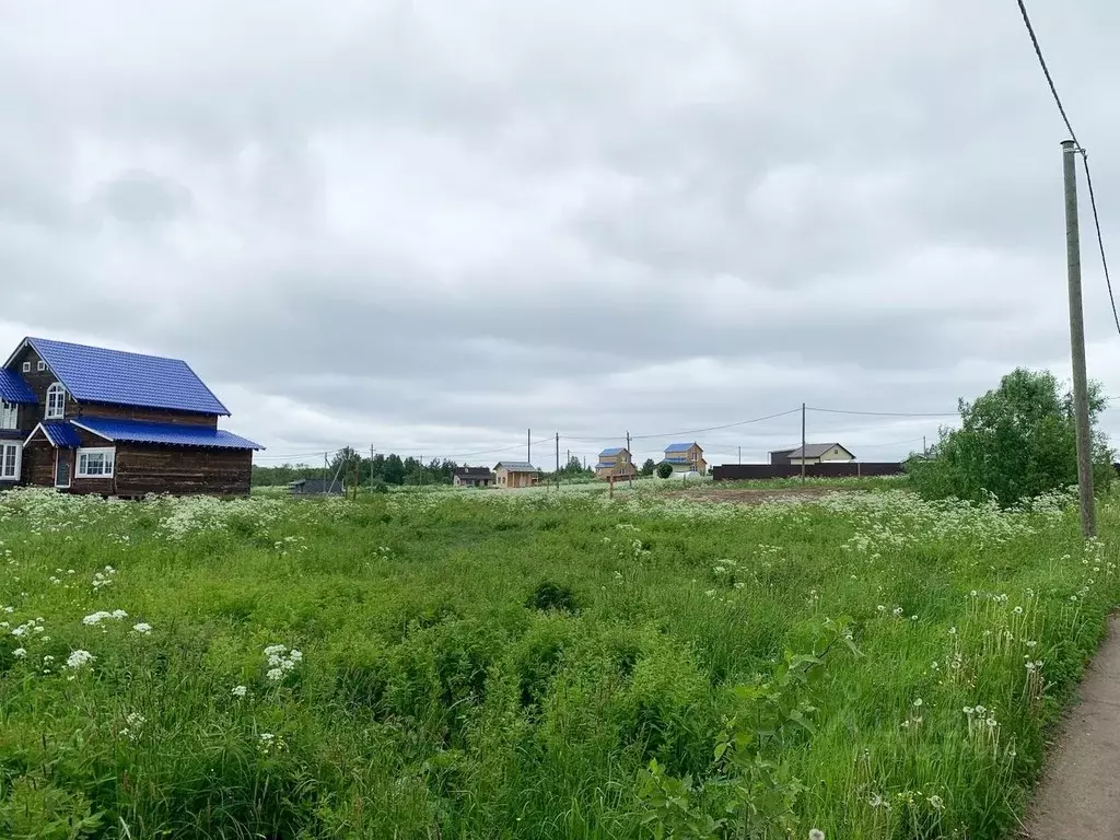 Участок в Архангельская область, Приморский муниципальный округ, ... - Фото 1