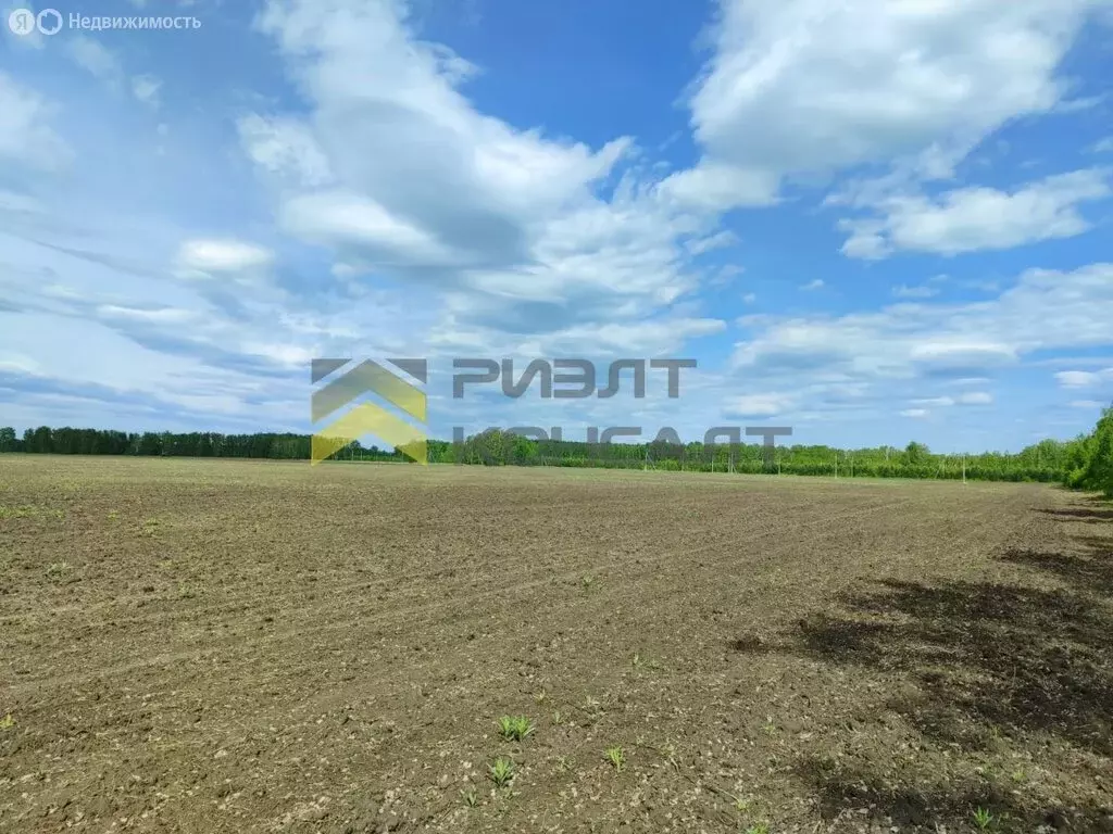 Участок в Омский район, село Надеждино (15 м) - Фото 1