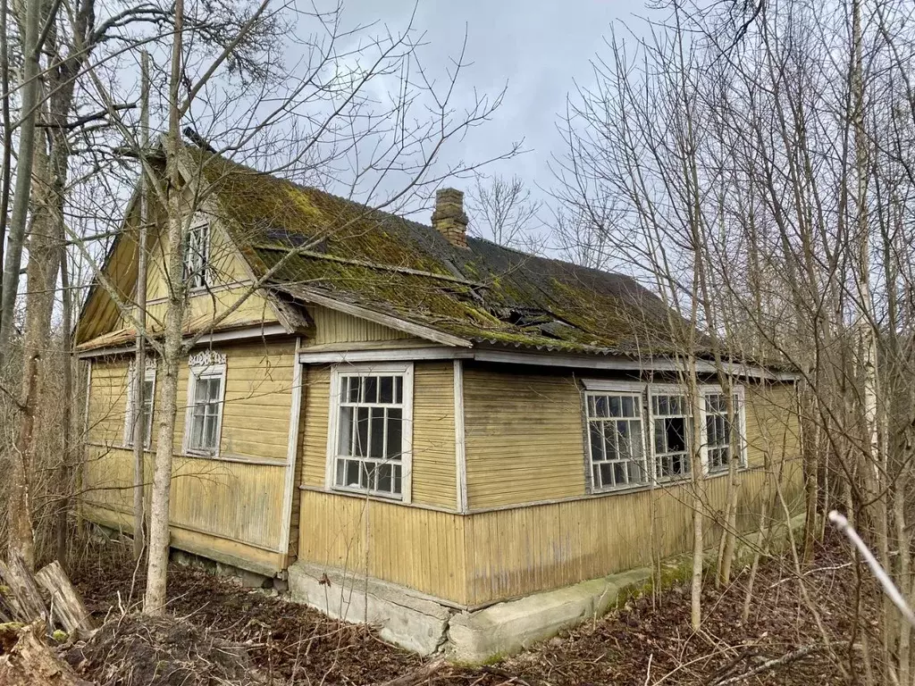 Дом в Псковская область, Гдовский муниципальный округ, д. Кануновщина  ... - Фото 1