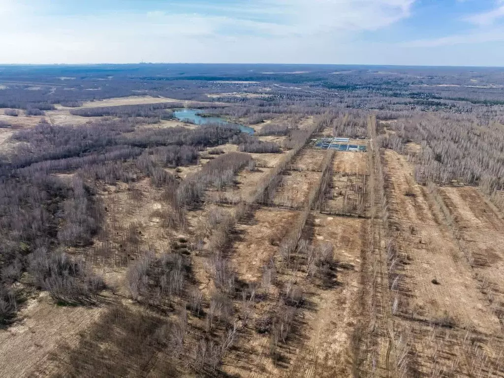 Участок в Новосибирская область, Новосибирский район, Березовский ... - Фото 2