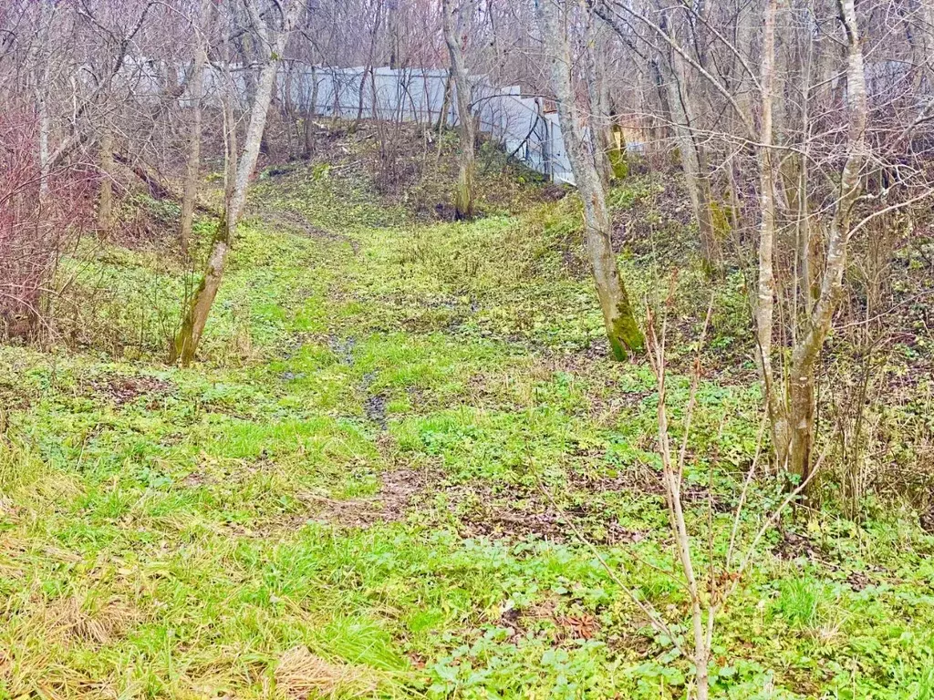 Участок в Московская область, Клин городской округ, Клевер Парк кп 61 ... - Фото 2