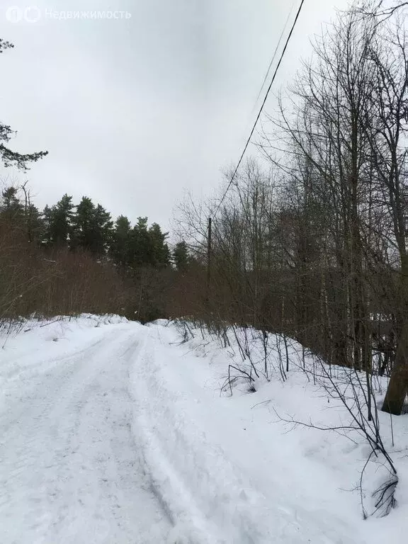 Участок в посёлок Мичуринское, Озёрный переулок (25 м) - Фото 2