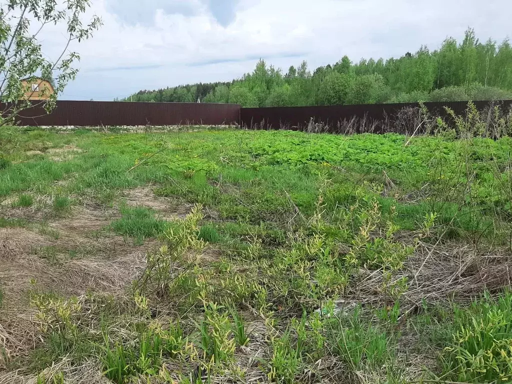 Участок в Московская область, Щелково городской округ, Добрый кв-л ул. ... - Фото 0