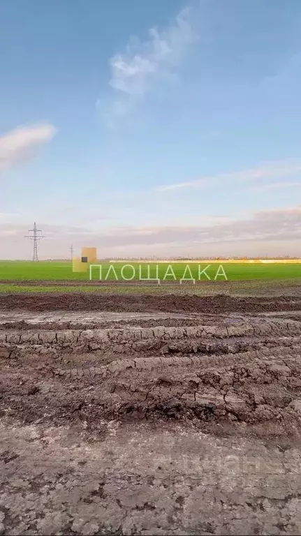 Участок в Ростовская область, Аксайский район, Большелогское с/пос, ... - Фото 2