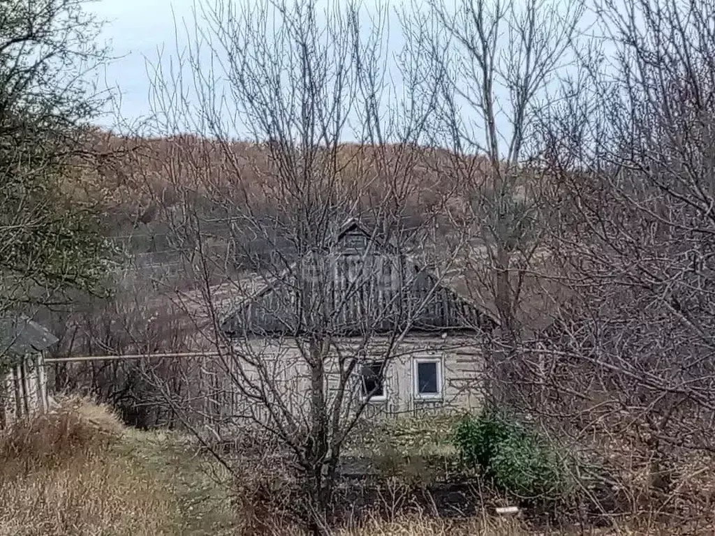 Дом в Белгородская область, Шебекинский муниципальный округ, с. ... - Фото 0