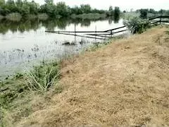 Участок 18 сот. (ИЖС) - Фото 1
