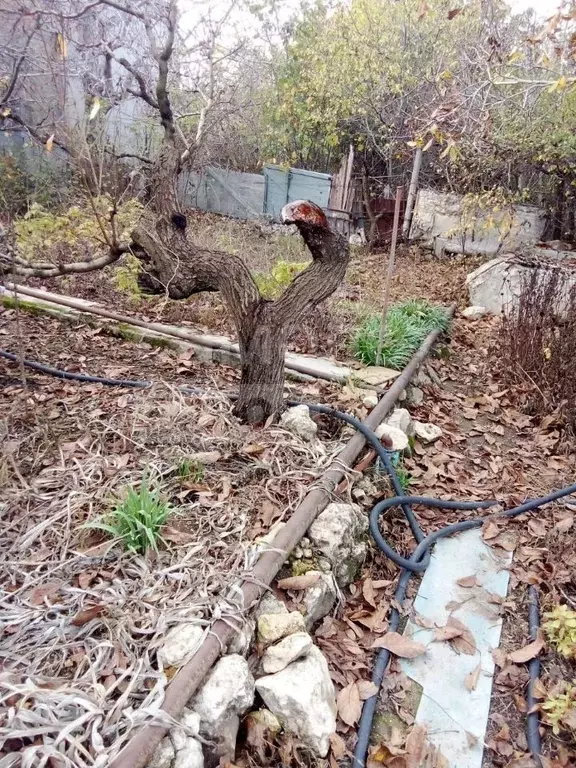 Участок в Севастополь Район Северная сторона,  (5.1 сот.) - Фото 1