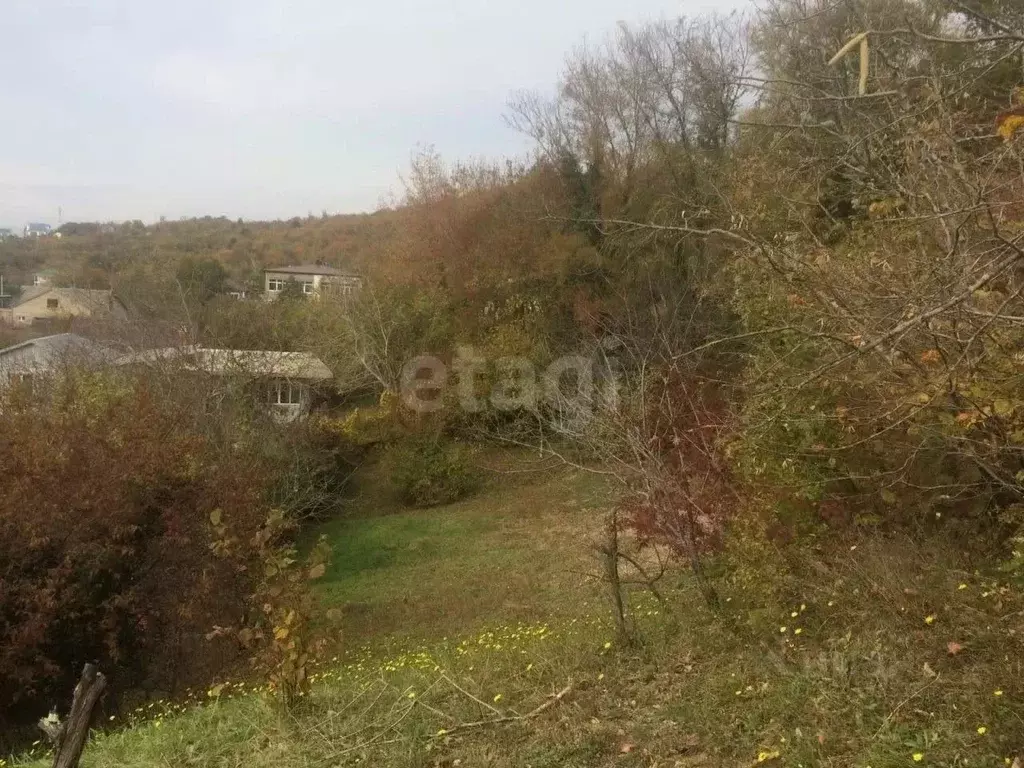 Участок в Краснодарский край, Геленджик городской округ, с. ... - Фото 2