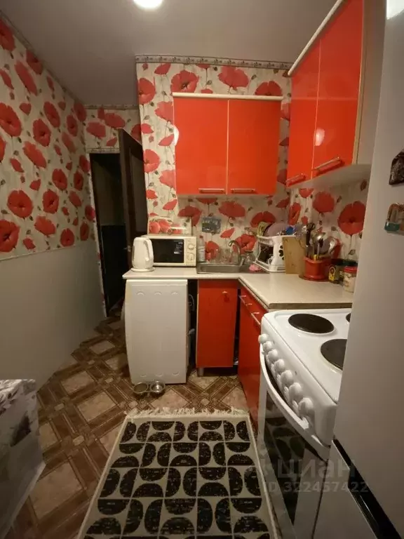 1-к кв. Краснодарский край, Новороссийск ул. Куникова, 50А (30.0 м) - Фото 1
