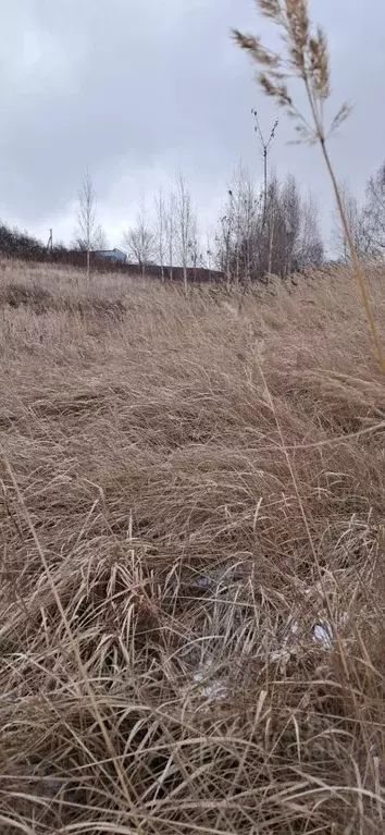 Участок в Красноярский край, Красноярск  (7.5 сот.) - Фото 1