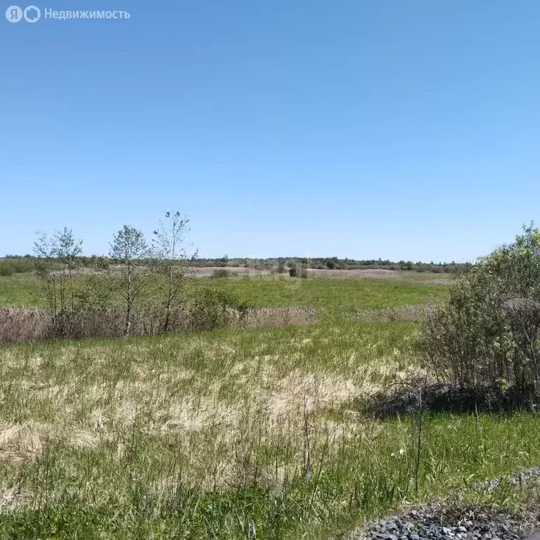 Участок в Новгородская область, Солецкий муниципальный округ, Сольцы ... - Фото 0