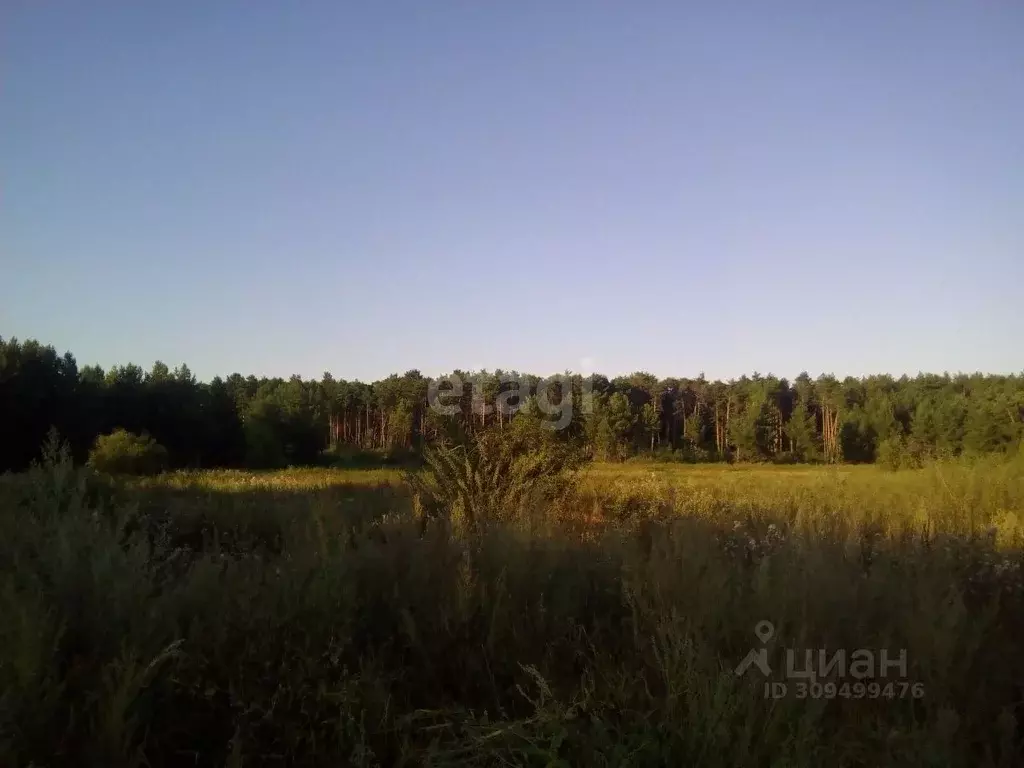 Участок в Курганская область, Шадринский муниципальный округ, с. ... - Фото 0