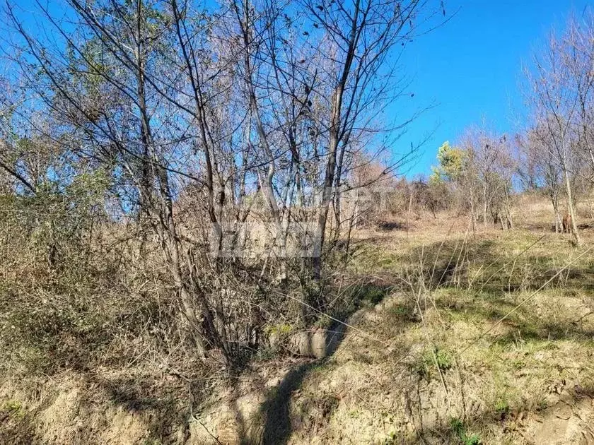 Участок в Краснодарский край, Сочи городской округ, с. Черешня ул. ... - Фото 1