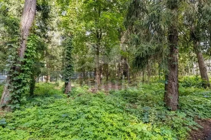 Участок в Московская область, Одинцовский городской округ, пос. ... - Фото 2