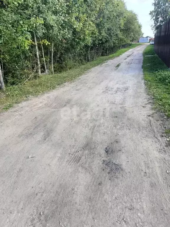 Участок в Коми, Сыктывдинский район, с. Выльгорт ул. Родниковая (3.93 ... - Фото 2