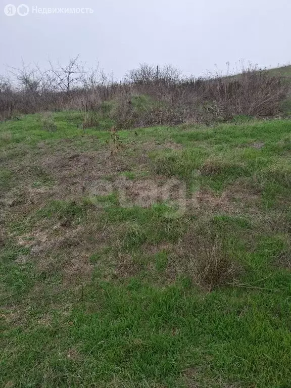 Участок в Аксайский район, хутор Большой Лог (8.26 м) - Фото 2