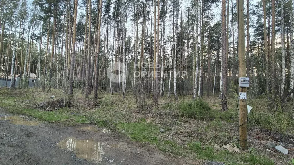 Участок 10 сот. (ИЖС) - Фото 0