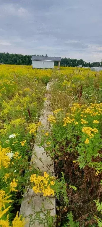 Купить Участок Ижс В Орловском Районе