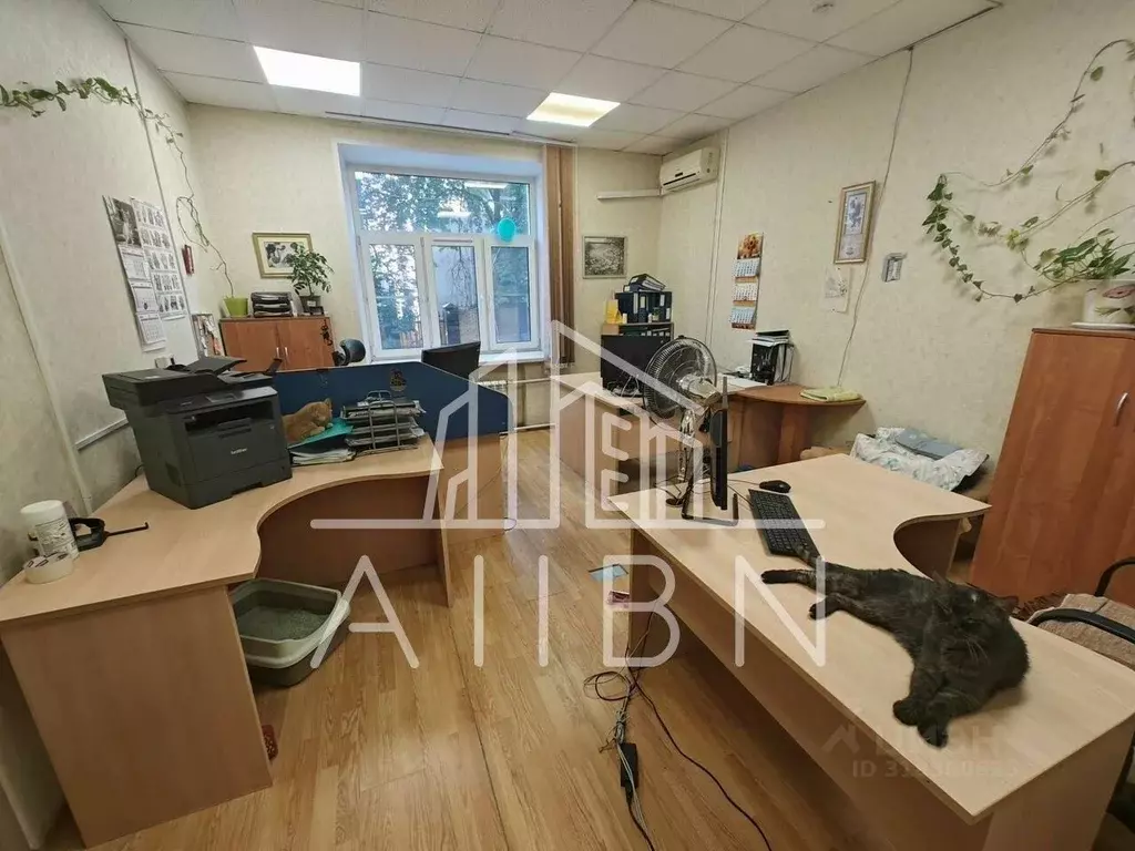 Офис в Москва ул. Народного Ополчения, 48К1 (113 м) - Фото 1
