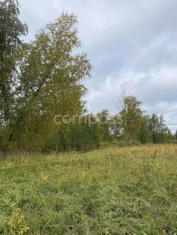 Участок в Тюменская область, Тюмень Зеленый Бор ДНТСН,  (10.14 сот.) - Фото 0