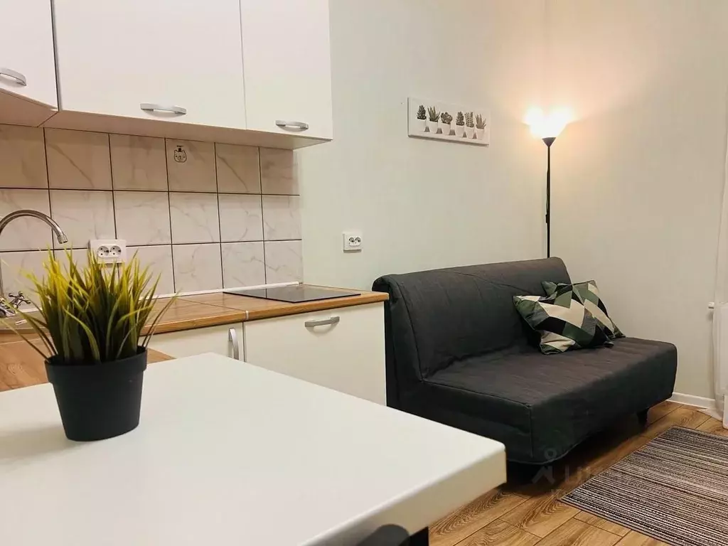 Студия Санкт-Петербург ул. Плесецкая, 10 (25.0 м) - Фото 1