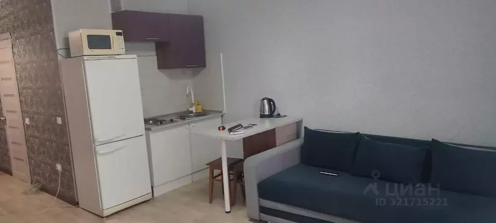 Студия Башкортостан, Уфа ул. Максима Горького, 46 (30.0 м) - Фото 1