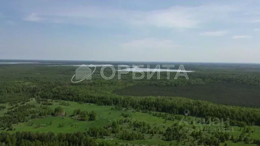 Участок в Тюменская область, Нижнетавдинский район, д. Штакульская  ... - Фото 1
