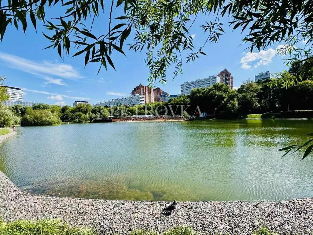 2-к кв. Москва ул. Удальцова, 4 (48.1 м) - Фото 1
