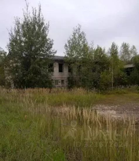 Помещение свободного назначения в Владимирская область, Меленковский ... - Фото 1