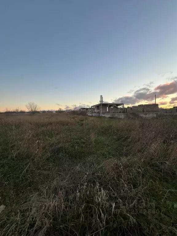 Участок в Краснодарский край, Анапа муниципальный округ, пос. ... - Фото 2