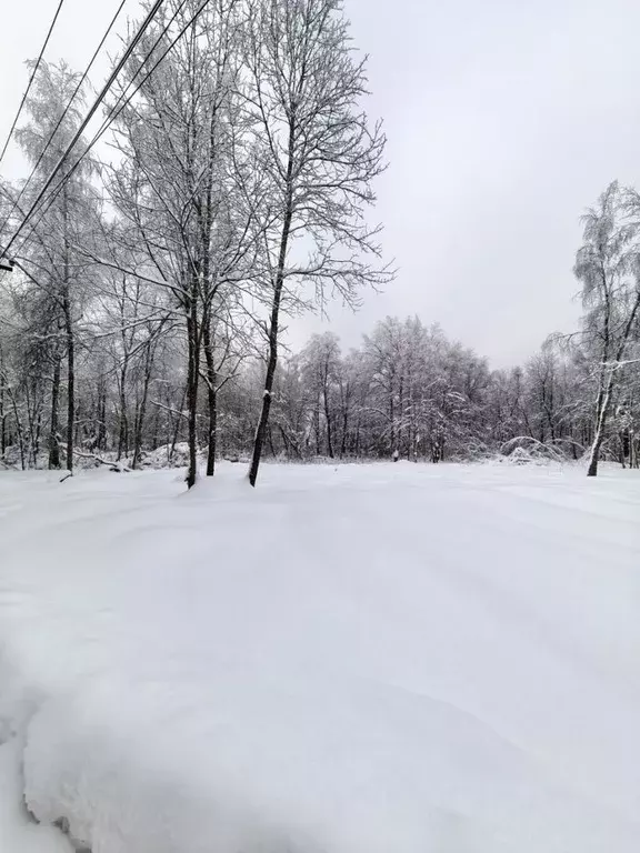 Участок в Московская область, Истра муниципальный округ, с. ... - Фото 2