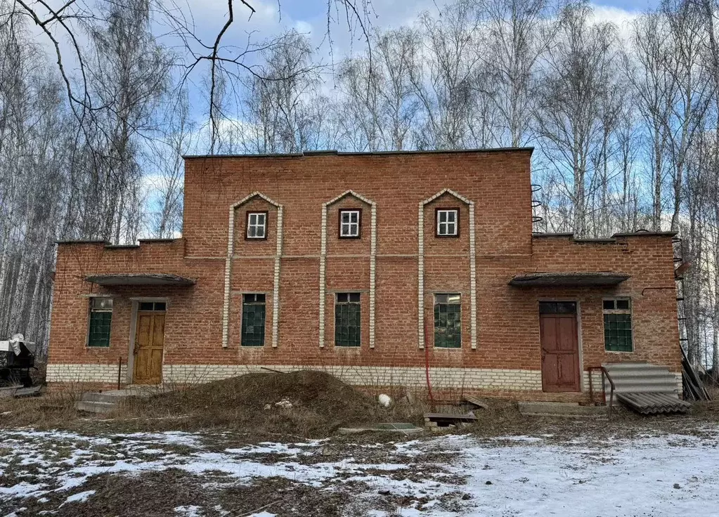 Помещение свободного назначения в Челябинская область, Челябинск пл. ... - Фото 1