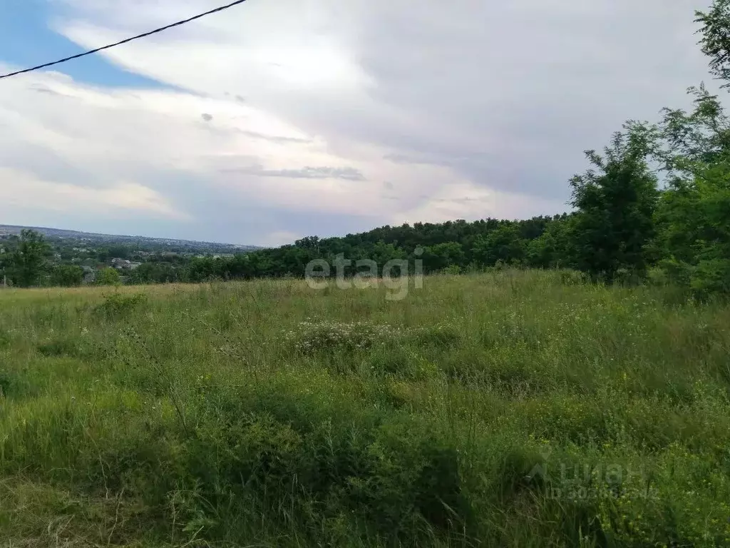 Участок в Белгородская область, Белгородский район, Беломестненское ... - Фото 1