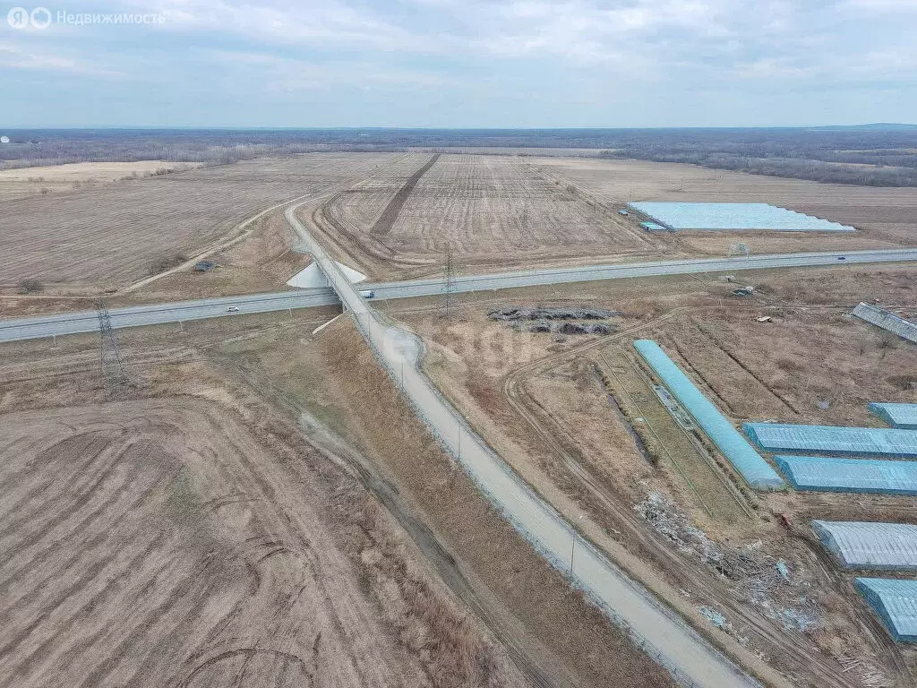Участок в Хабаровский район, село Гаровка-1 (290 м) - Фото 1