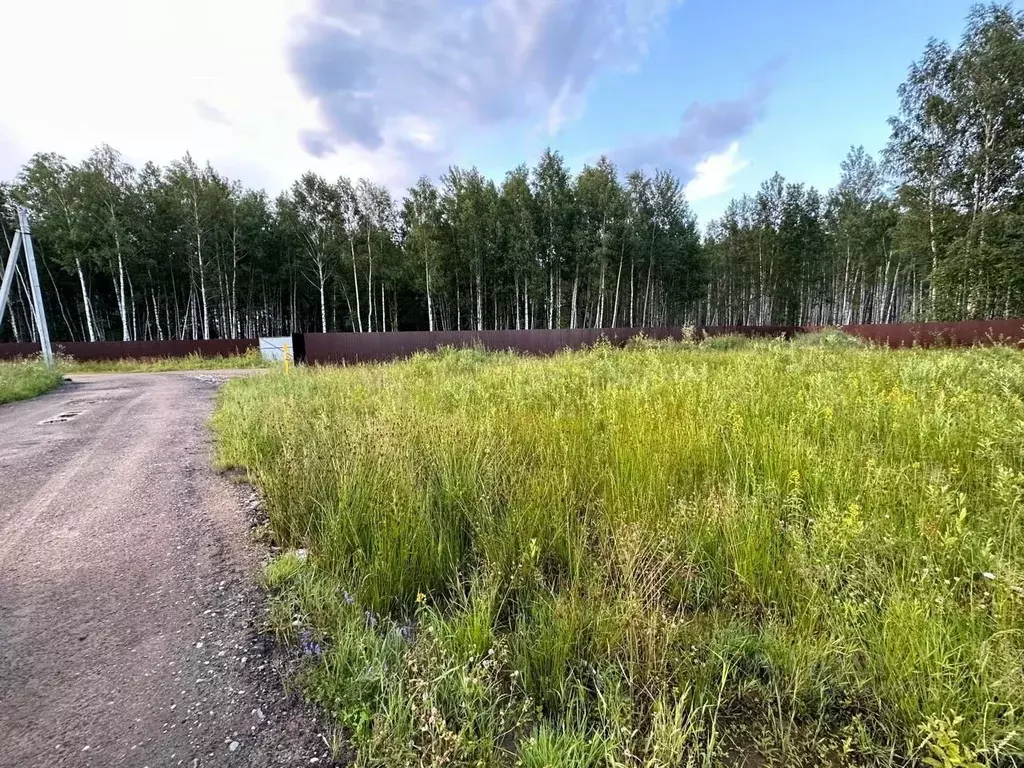 Участок в Ярославская область, Ярославский муниципальный округ, д. ... - Фото 1