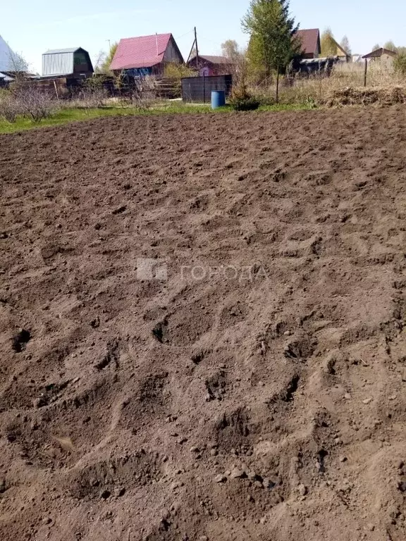 Участок в Алтайский край, Первомайский район, Рябинушка СНТ 6-я линия ... - Фото 1