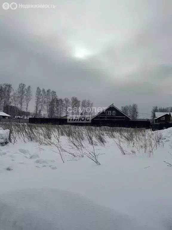 Участок в Барышевский сельсовет, дачное некоммерческое партнёрство ... - Фото 1