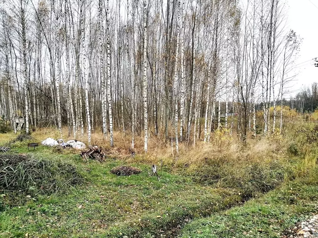 Участок в Московская область, городской округ Пушкинский, деревня ... - Фото 2