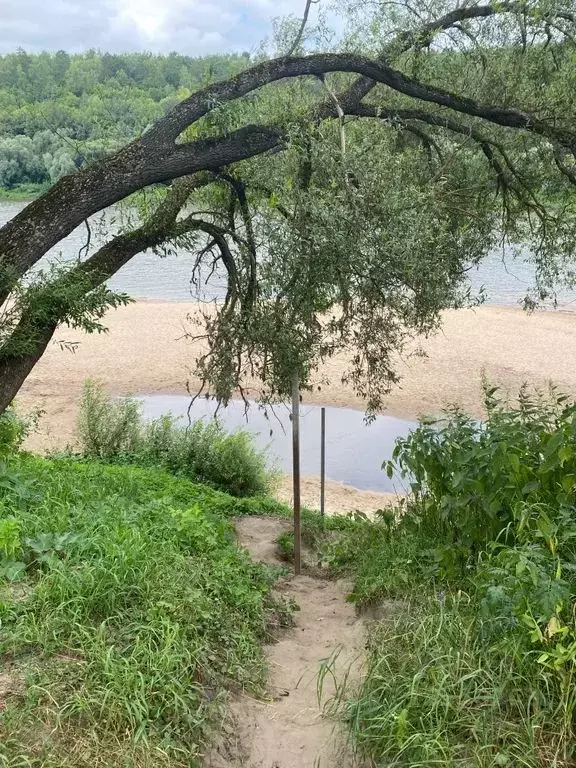 Дом в Калужская область, Таруса ул. Сосновая, 11 (110 м) - Фото 0