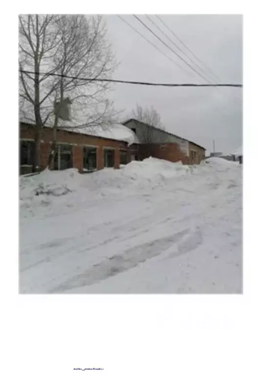 Помещение свободного назначения в Алтайский край, Первомайский район, ... - Фото 1