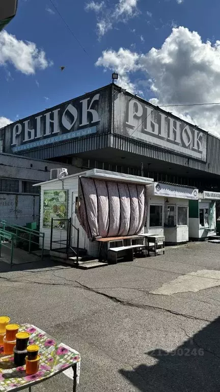 Торговая площадь в Хакасия, Саяногорск Саяногорск городской округ, ул. ... - Фото 2